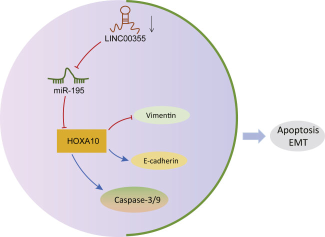 Figure 7