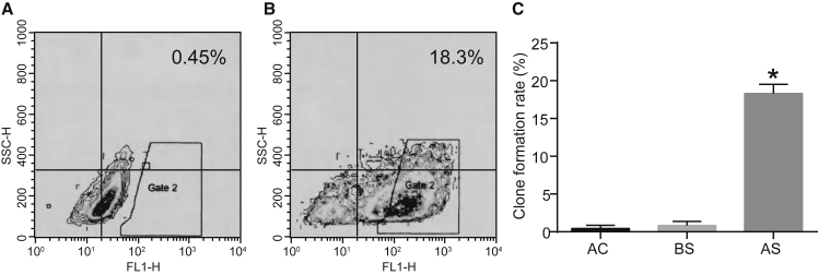 Figure 1