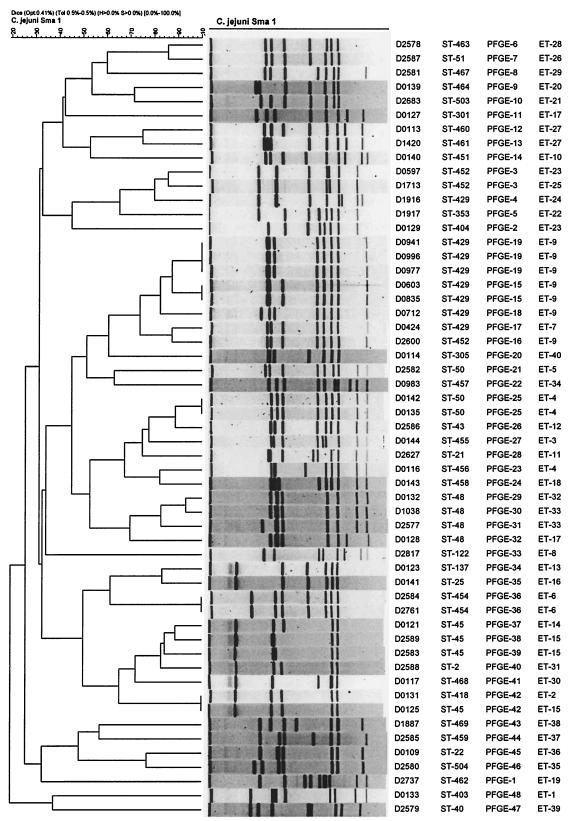 FIG. 2.