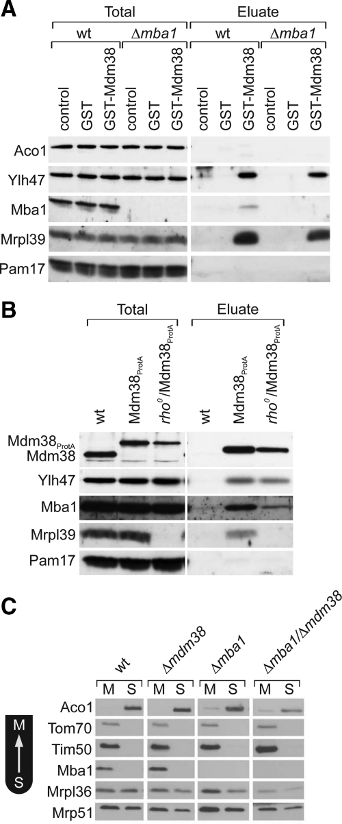 Figure 3.