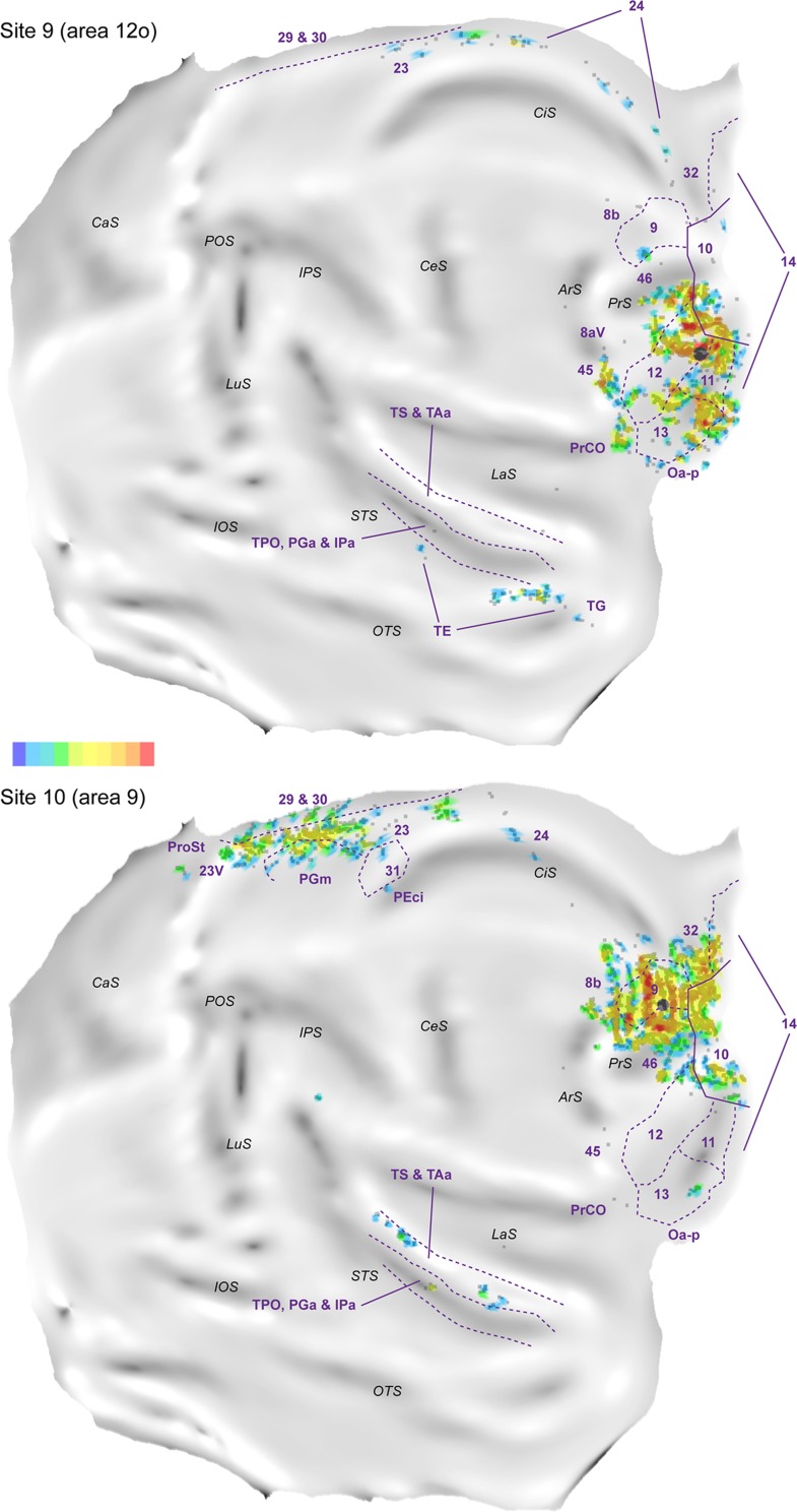 Figure 13.