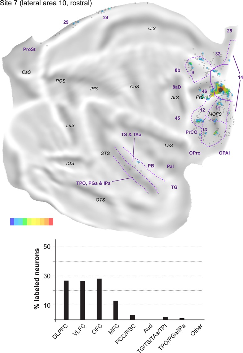 Figure 11.