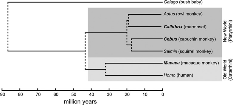 Figure 14.