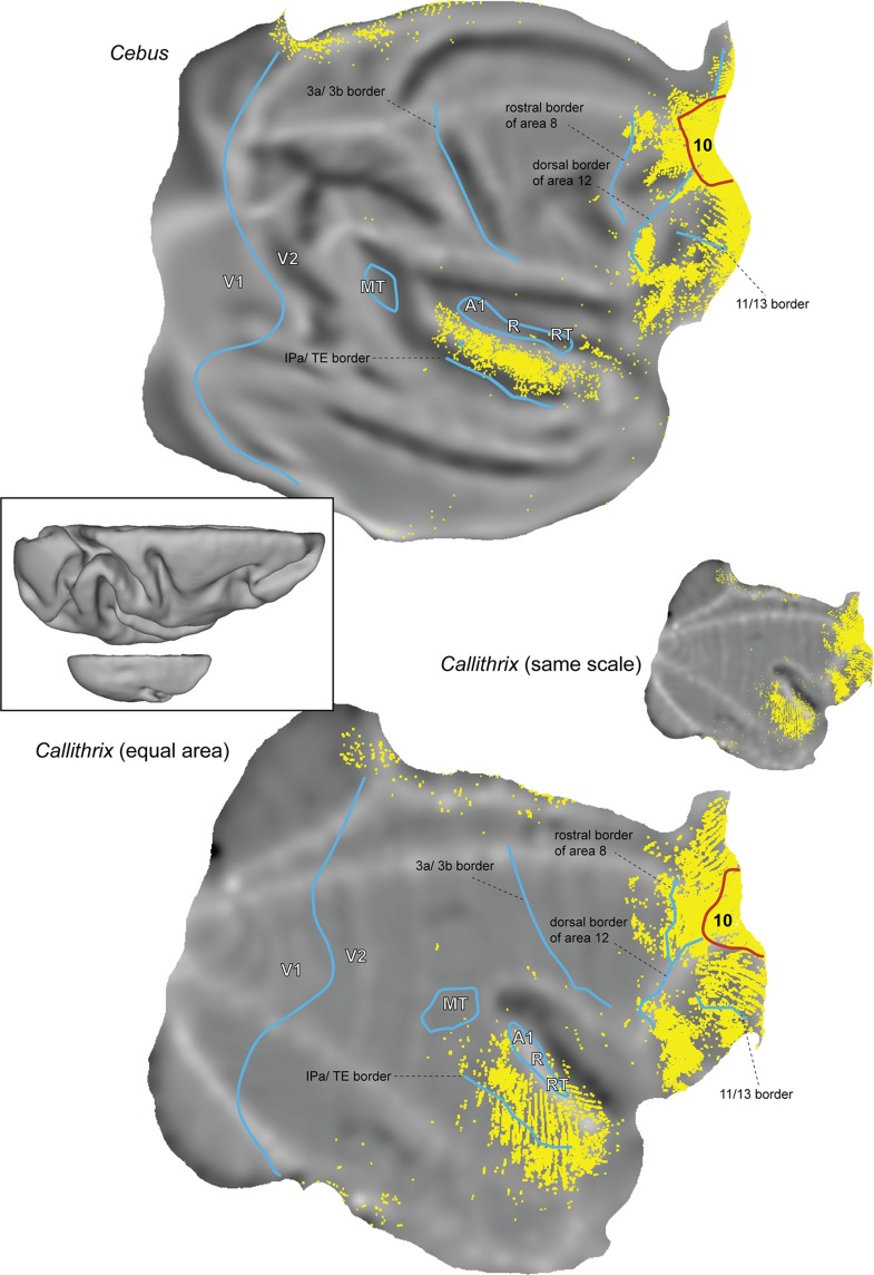 Figure 15.