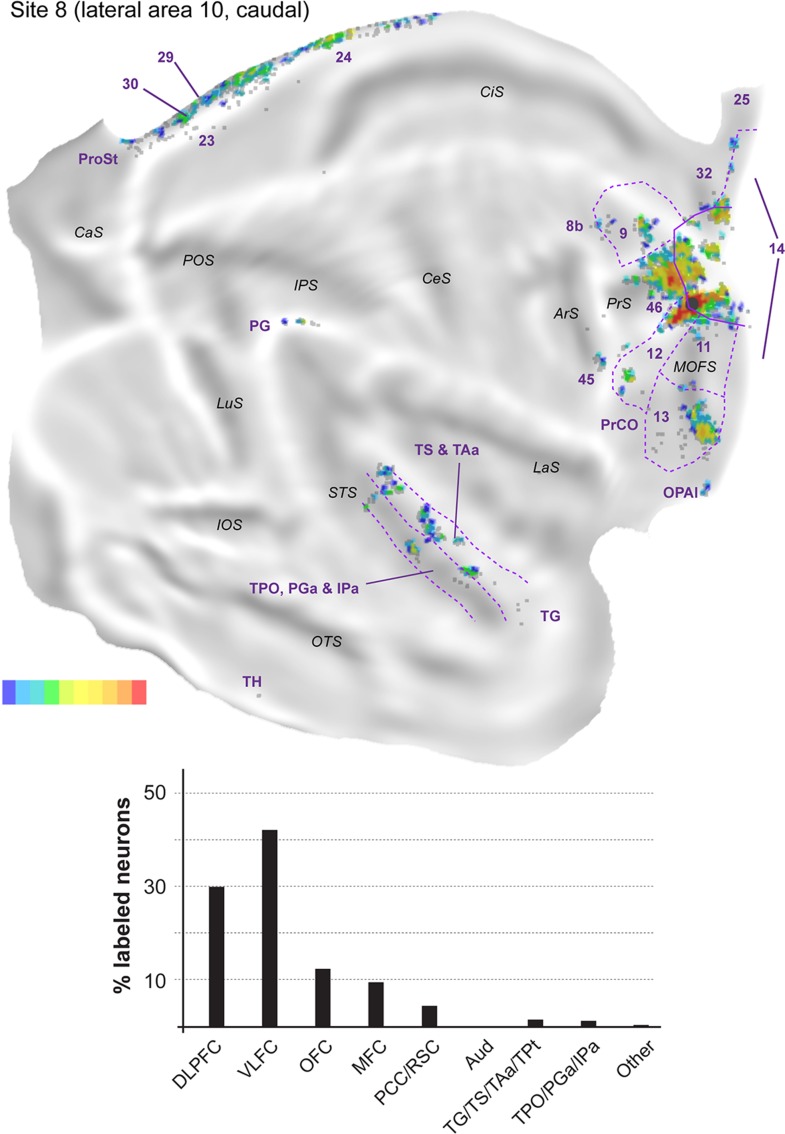 Figure 12.