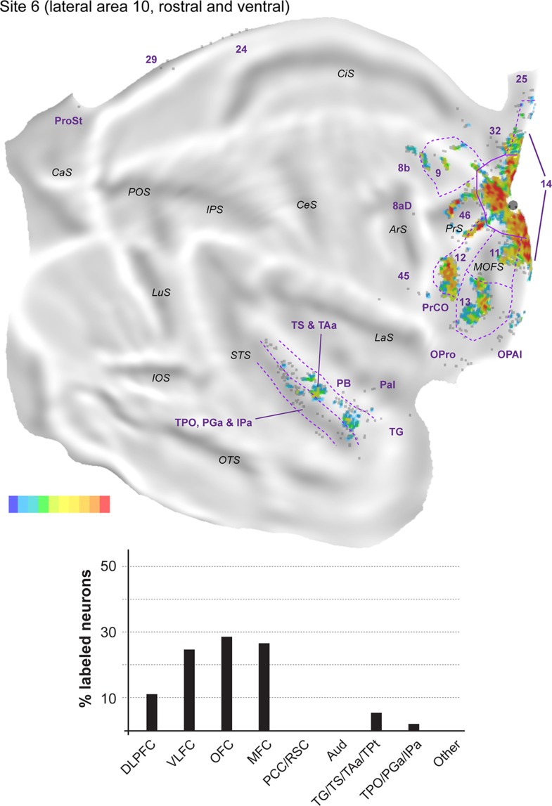 Figure 10.