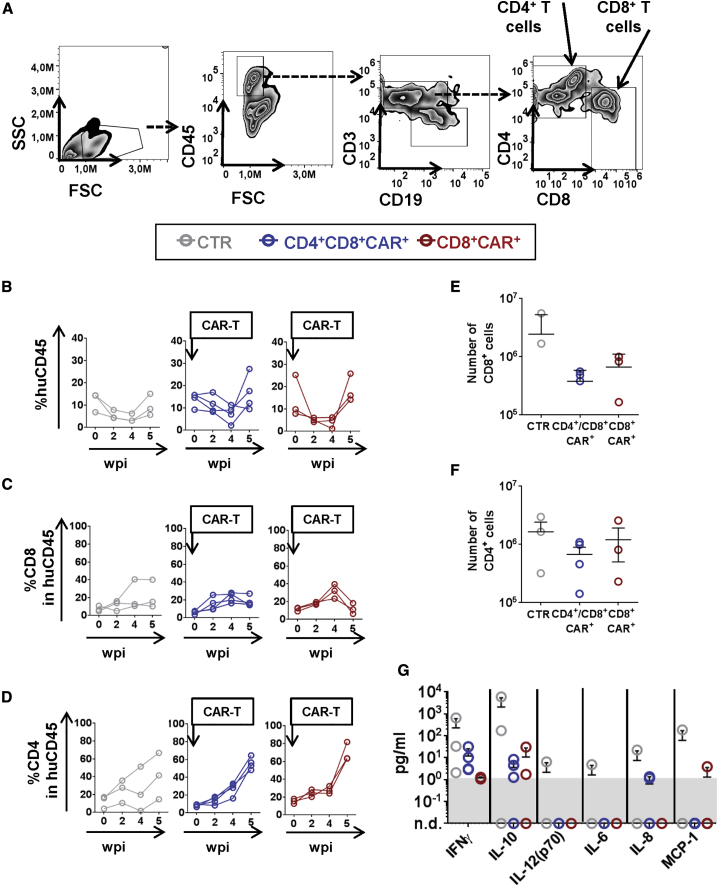 Figure 4