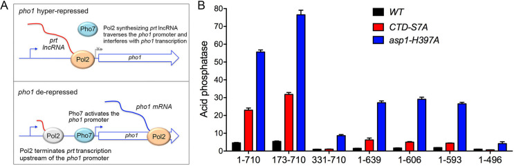 Fig 10