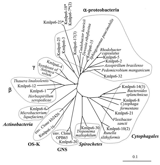 FIG. 7