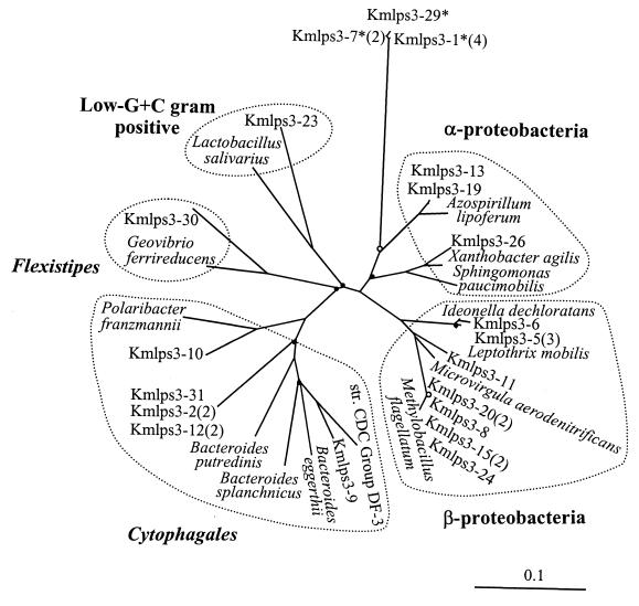 FIG. 6