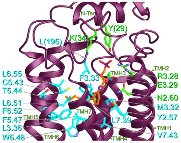 Fig. 3