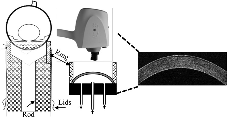 Fig. 2.