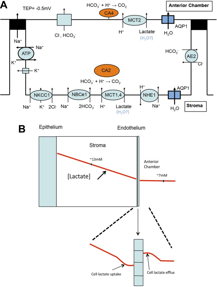 Fig. 9.