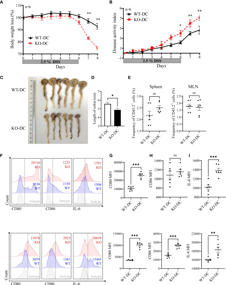 Figure 6