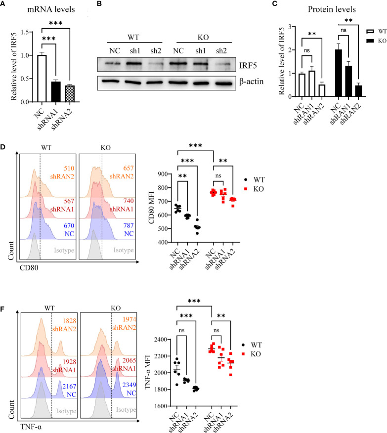 Figure 4