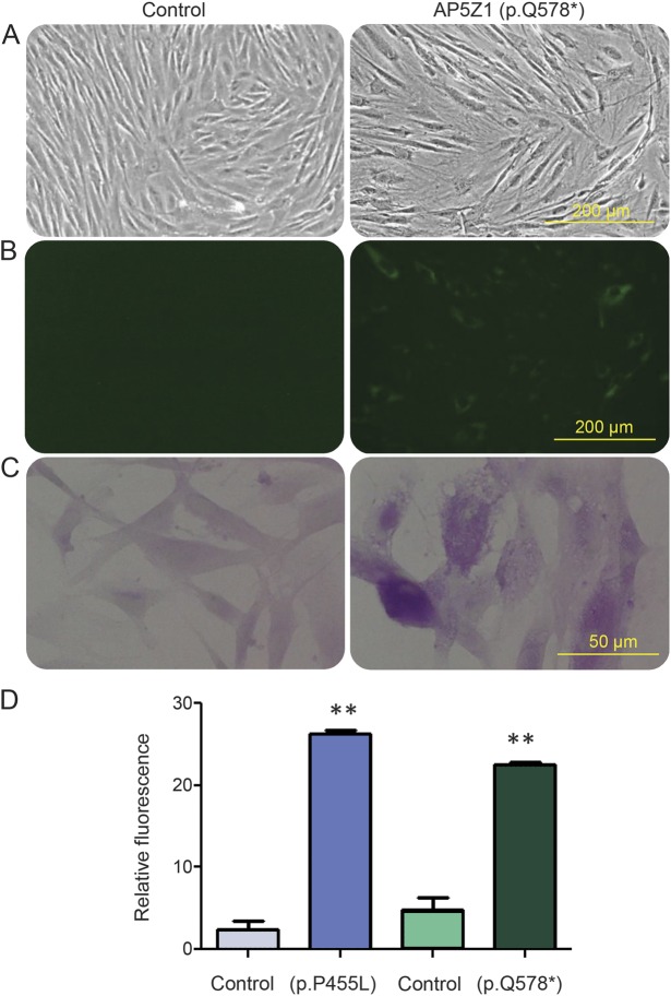 Figure 3.