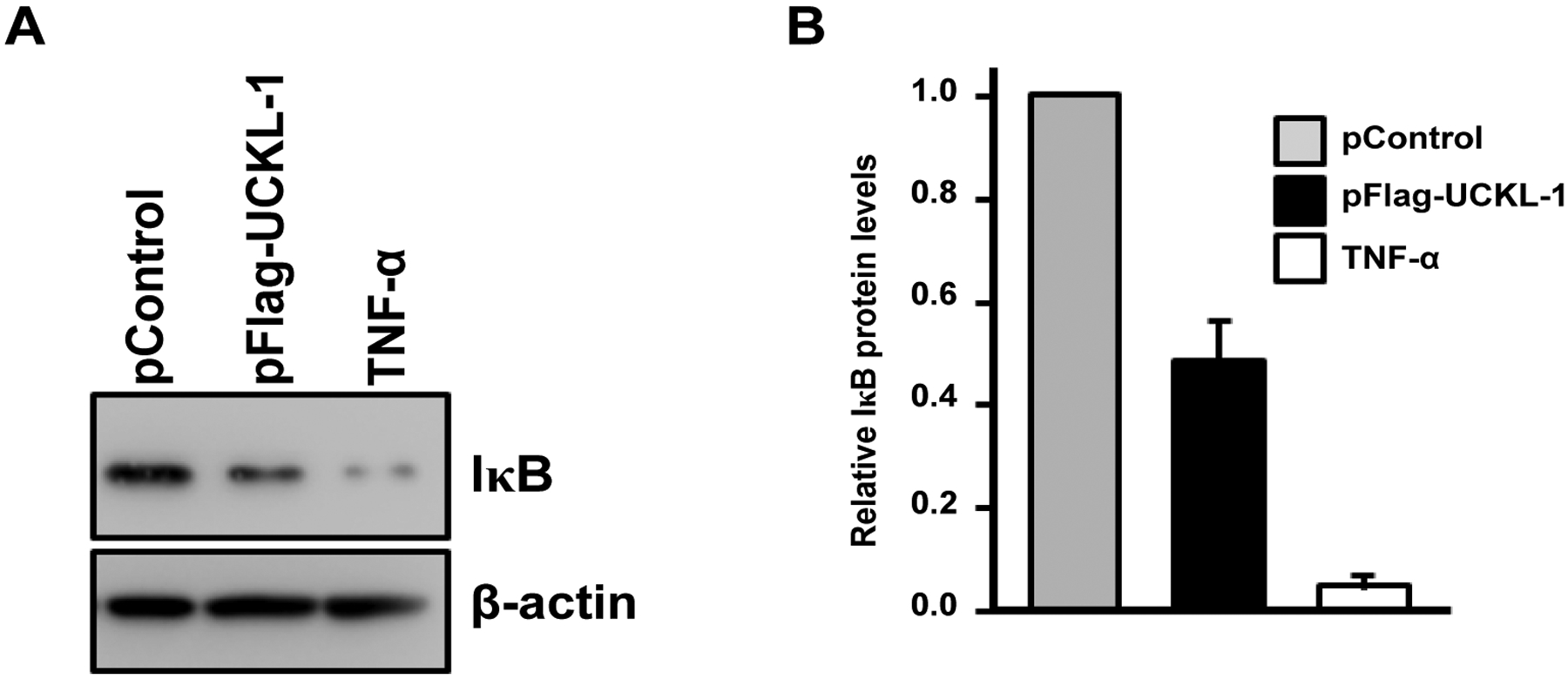 Figure 9: