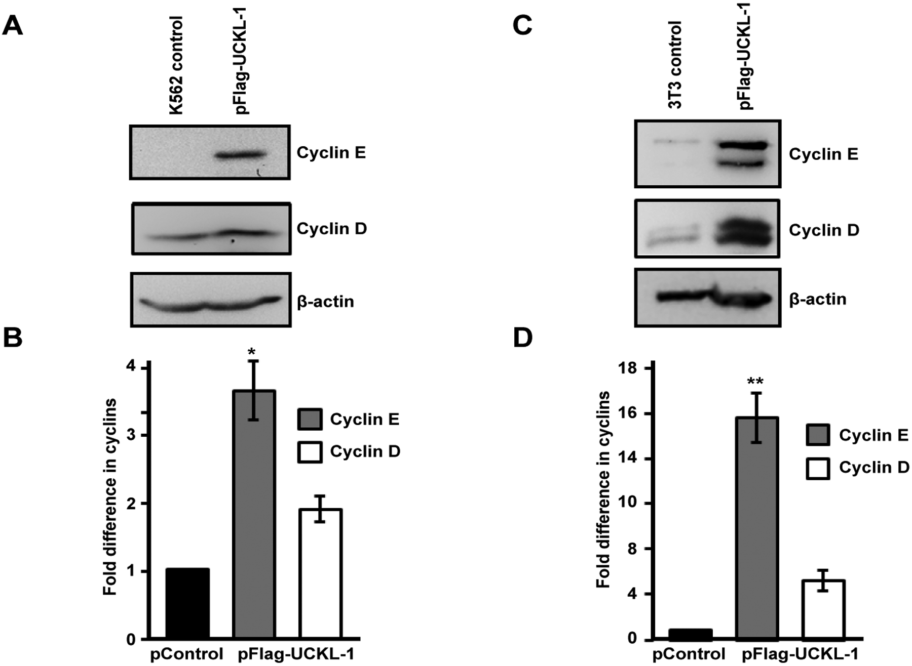 Figure 6: