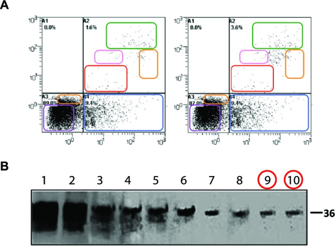 FIG 4 