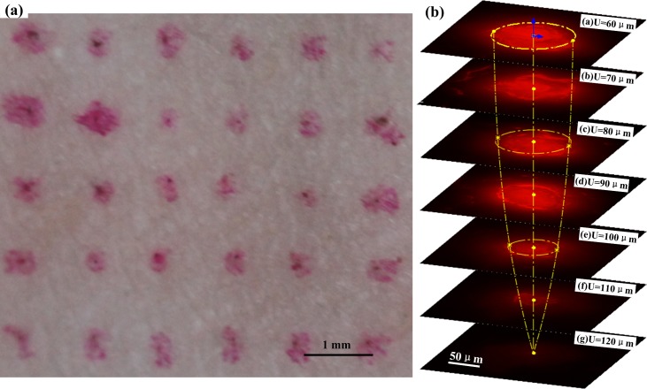 Fig 8