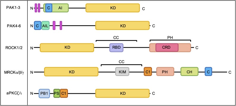 FIGURE 3