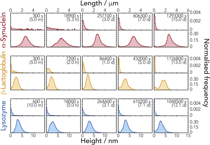 Figure 3