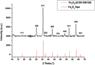 Fig. 2