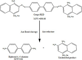 Fig. 13