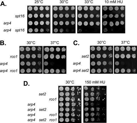 FIG. 6.