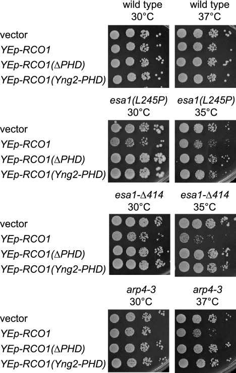 FIG. 5.