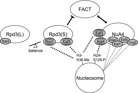 FIG. 10.