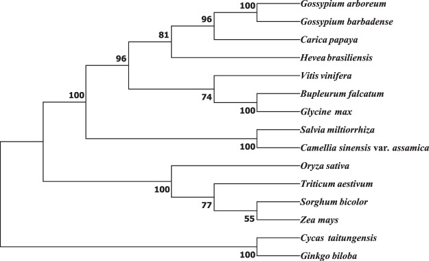 Fig. 6