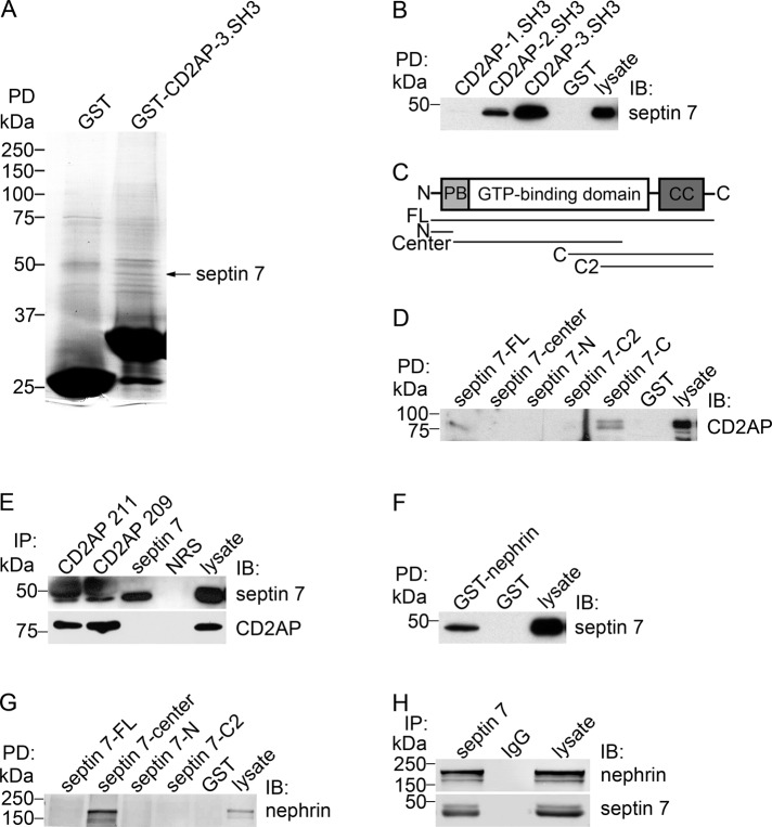 FIGURE 1: