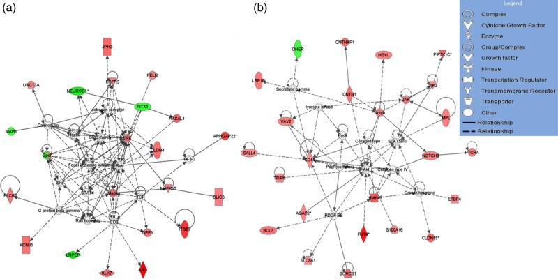 Figure 2