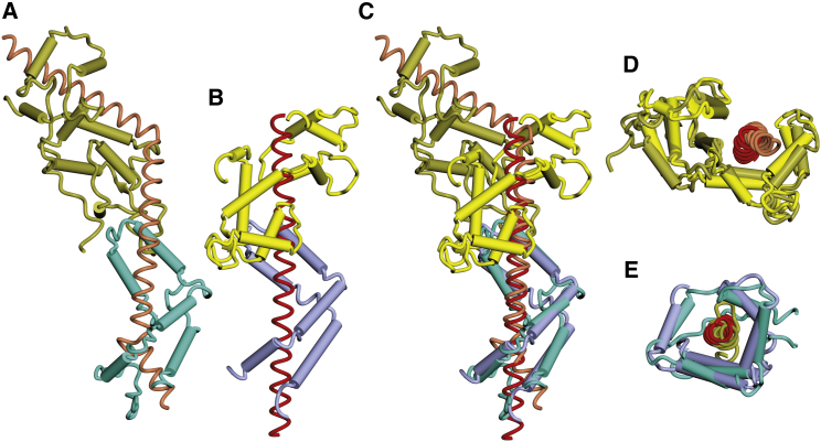 Figure 2