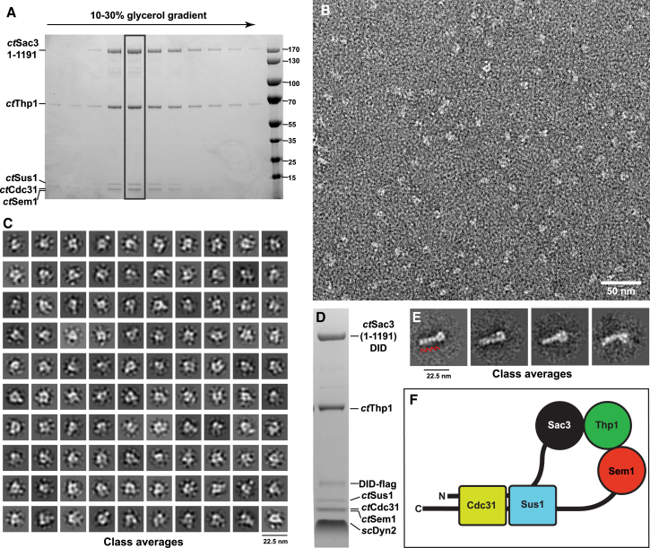 Figure 3