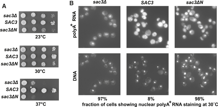 Figure 6