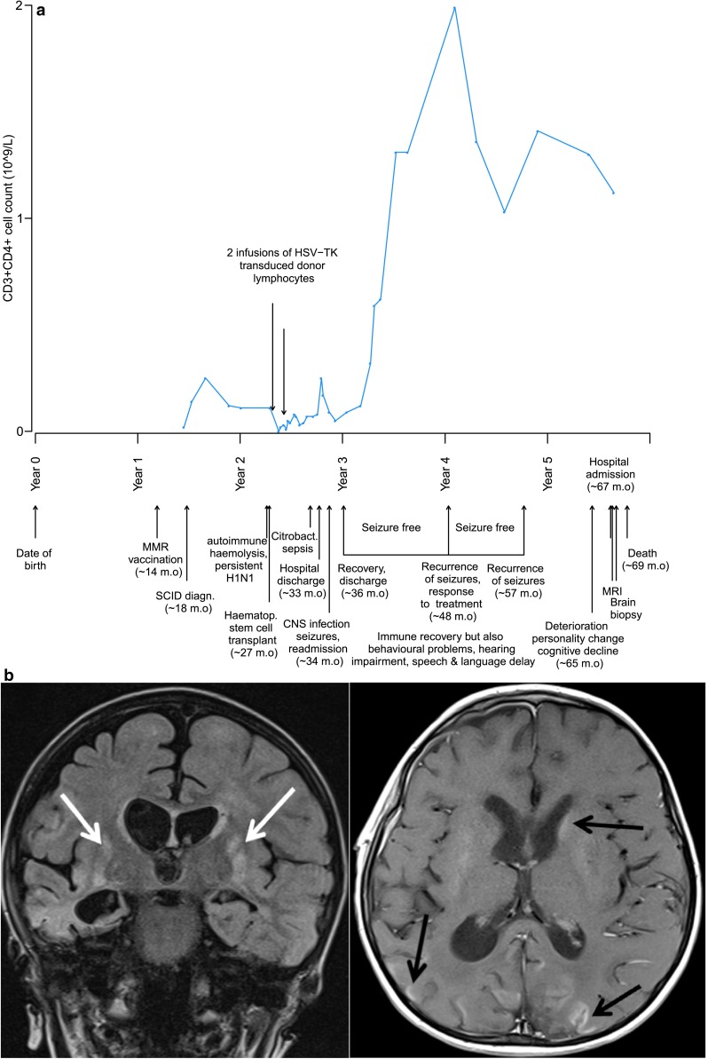 Fig. 1