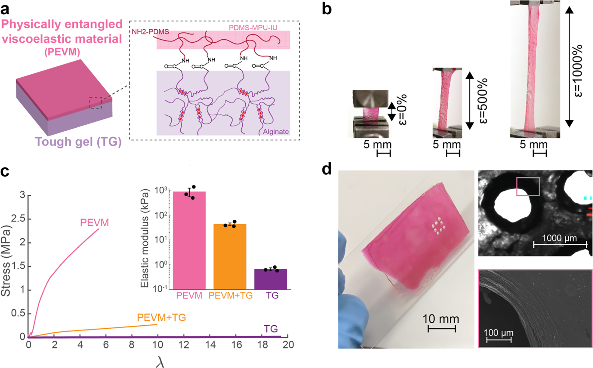 Figure 4: