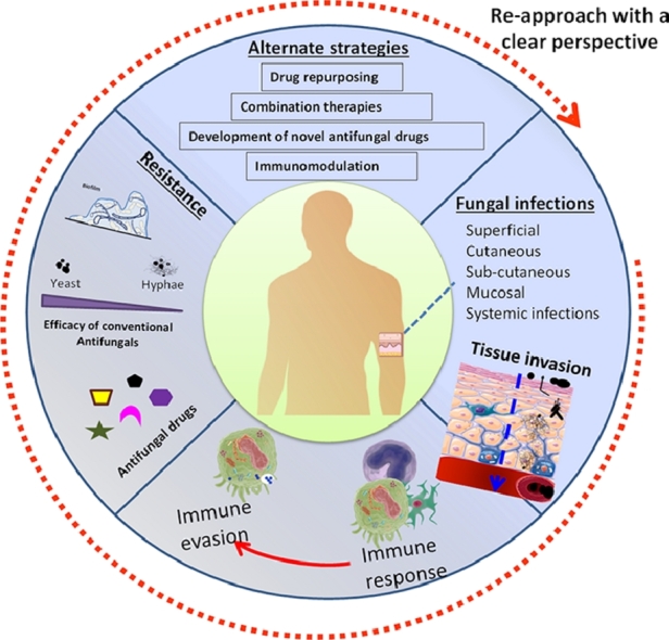 Image, graphical abstract