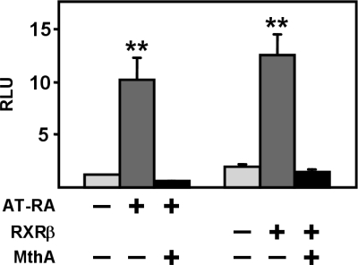 Fig. 9.