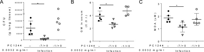 FIG 7