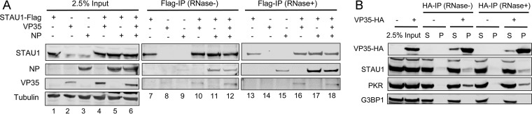 FIG 5