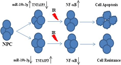 Fig. 9