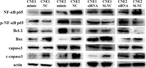 Fig. 8