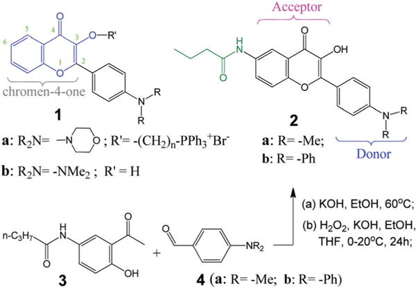 Scheme 2