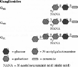 Figure1.