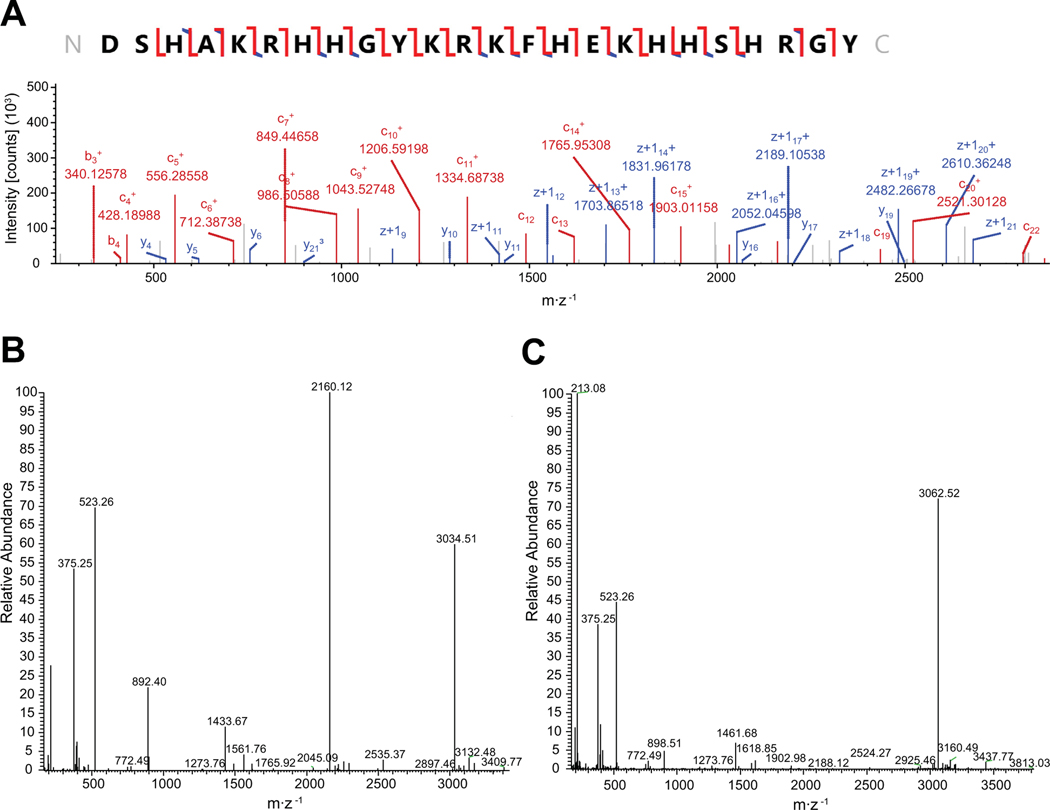 Fig. 8.