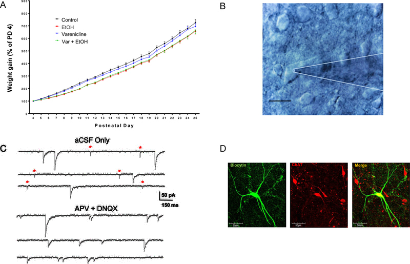 Figure 2: