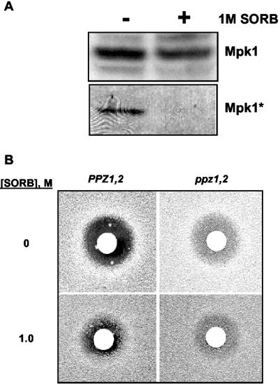 FIG. 7.